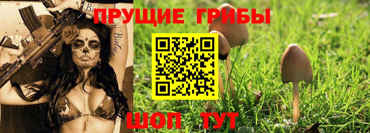 Галлюциногенные грибы мицелий Куйбышев